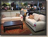 My Living Room (At the Store)